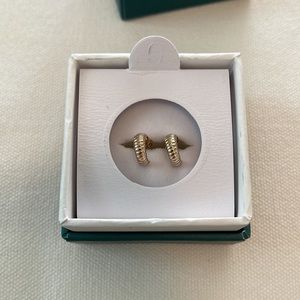 AuRate Gold Ridged Arch Huggie Earrings NWT NIB